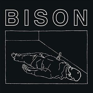 Bison - One Thousand Needles