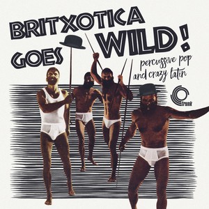 Blandade Artister - Britxotica! Goes Wild!