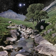 Beta Band - Beta Band (+Cd)