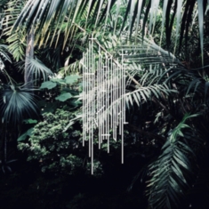 Nature Morte - Nm1
