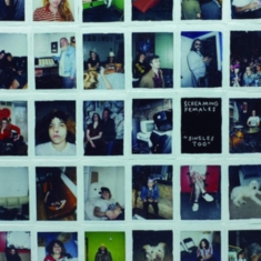 Screaming Females - Singles Too