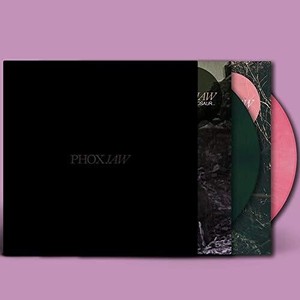 Phoxjaw - Goodbye Dinosaur/A Playgropund For
