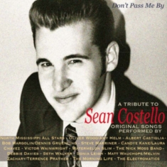 Blandade Artister - A Tribute To Sean Costello's Origin
