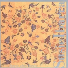 Ibarra Susie - Flower After Flower