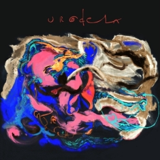Jensen Anders P - Urodela