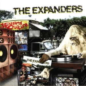 The Expanders - Hustling Culture