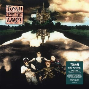 Toyah - Take The Leap