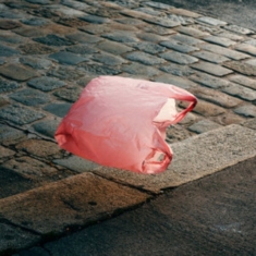 Ant Antic - Good Vids Vile Times