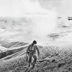 Jeff Tweedy - Love Is The King (Vinyl)