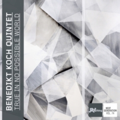 Benedikt Koch - True In No Possible World
