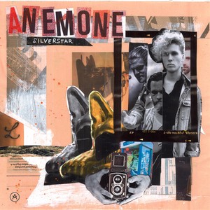 Anemone - Silver Star -Digi-