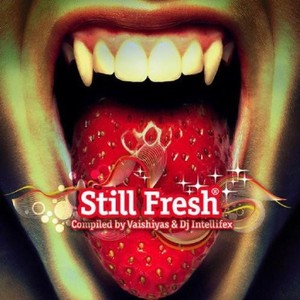 V/A - Still Fresh