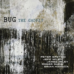 Bug - Gadfly
