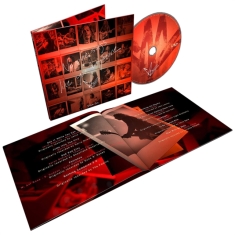 Chris Cornell  - No One Sings Like You Anymore 