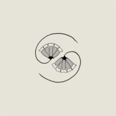 Godspeed You! Black Emperor - G_D's Pee At State's End! (Lp+10'')