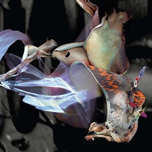 Parallel Worlds & Dave Bessell - Dystopia