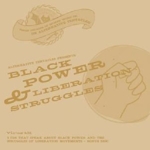 Various Artists - Black Power And Liberation Struggle