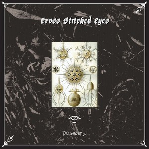 Cross Stitched Eyes - Decomposition