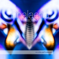 Phalaena - Reflections