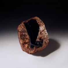 Maenad Veyl & The Sarcasm Ensemble - Comfort In Misery