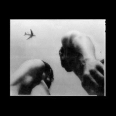 Adams Eve - Metal Bird