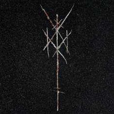 Wiegedood - There's Always Blood At The End Of The Road