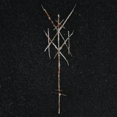 Wiegedood - There's Always Blood At The End Of The Road