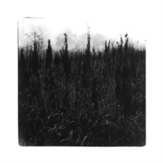 Bennet David & Vilhelm Bromander - Within Reach Of Eventuality