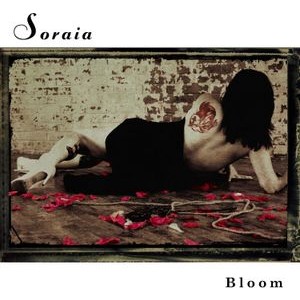 Soraia - Bloom
