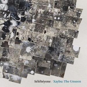 Lehman Steve / Selebeyone - Xaybu: The Unseen