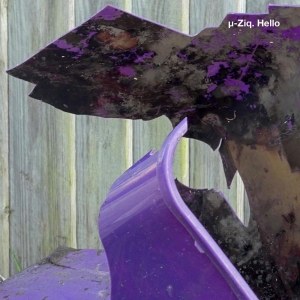?-Ziq - Hello/Goodbye