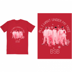 Backstreet Boys -  Unisex T-Shirt: All I Want Xmas (S)