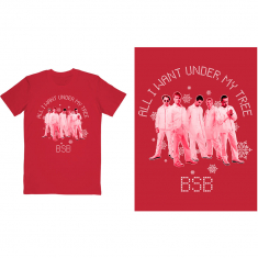 Backstreet Boys -  Unisex T-Shirt: All I Want Xmas (M)