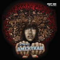 Erykah Badu - New Amerykah Part One