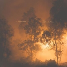 Watchhouse - Blindfaller (Clear Orange Vinyl)