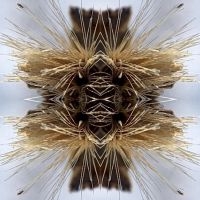 Yakuza - Sutra