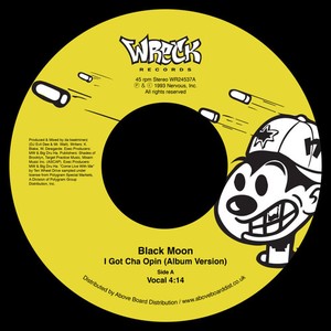 Black Moon - I Got Cha Opin (album Version)