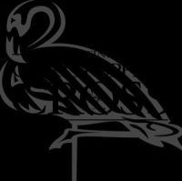 Christopher Cross - Definitive Christopher Cross