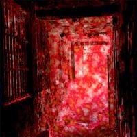Elimi - Asylum