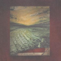 Von Till Steve - If I Should Fall To The Field