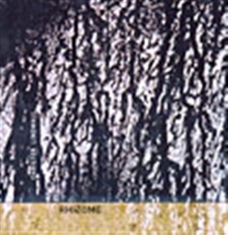 Lindwall Christer - Rhizome