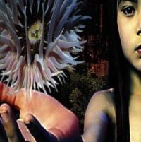 Future Sound Of London - Lifeforms