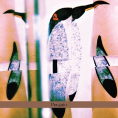 Cohen-Milo Haggai - Penguin