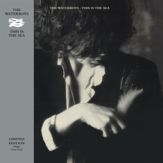 The Waterboys - This Is The Sea