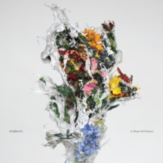 Big|Brave - A Chaos Of Flowers