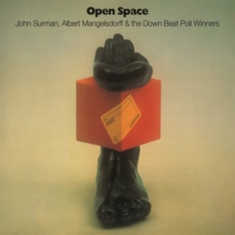 Down Beat Poll Winners The - Open Space