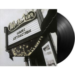 White Lion - Mane Attraction