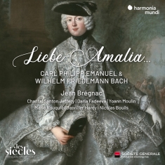 Jean Brégnac - Liebe Amalia ...