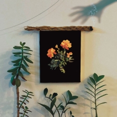 Why? - The Well I Fell Into (Coke Bottle C