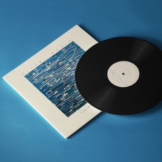 Field Music - Limits Of Language